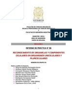 Sem 6 Tarea 6 Practica Cel Organelas-FII