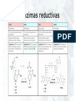 Bioquimica Redox