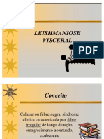 Aula Leishmaniose