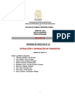 Sem 13 - Informe de Practica Pigmentos-FQIQ - Documentos de Google