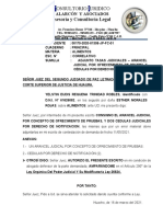 Arancel Judicial y Cédulas de Notificación - Yelstin Eudis Requena Trinidad Robles.