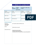 Plantilla Briefing Resuelta