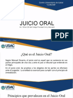 Juicio Oral Completo