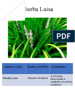 Plantas Medicinales