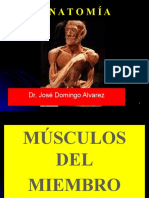 MIOLOGÍA MS 4. Musculos Del Antebrazo. Grupo Anterior