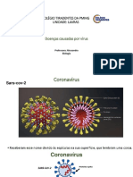 Aula Doenças Causadas Por Vírus Novo