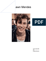 Shawn Mendes