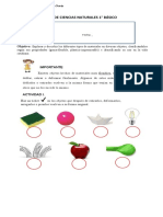 Guía de Cs. Naturales Materiales 1eros Básicos