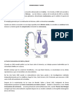 Tema 3 - CROMOSOMAS Y GENES