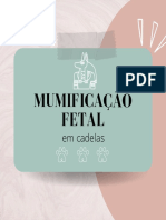 Mumificação fetal cadelas