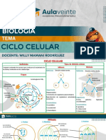 Biologia Ciclo Celular