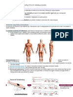 Anatomía humana: posición anatómica, ejes y planos del cuerpo