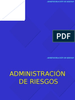 1.- Resumen - Adm. de Riesgos