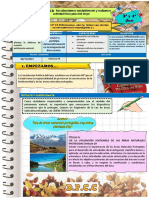 3° y 4° DPCC SEM4 EXP9