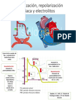 Despolarización Repolarización Cardiaca y Electrolitos