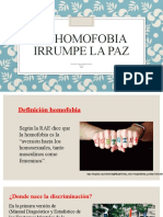 Irrupcion de La Paz Por Homofobia