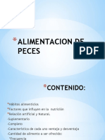 ALIMENTACION