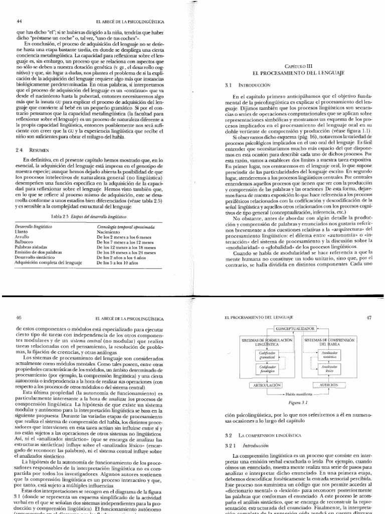 El Procesamiento Del Lenguaje PDF