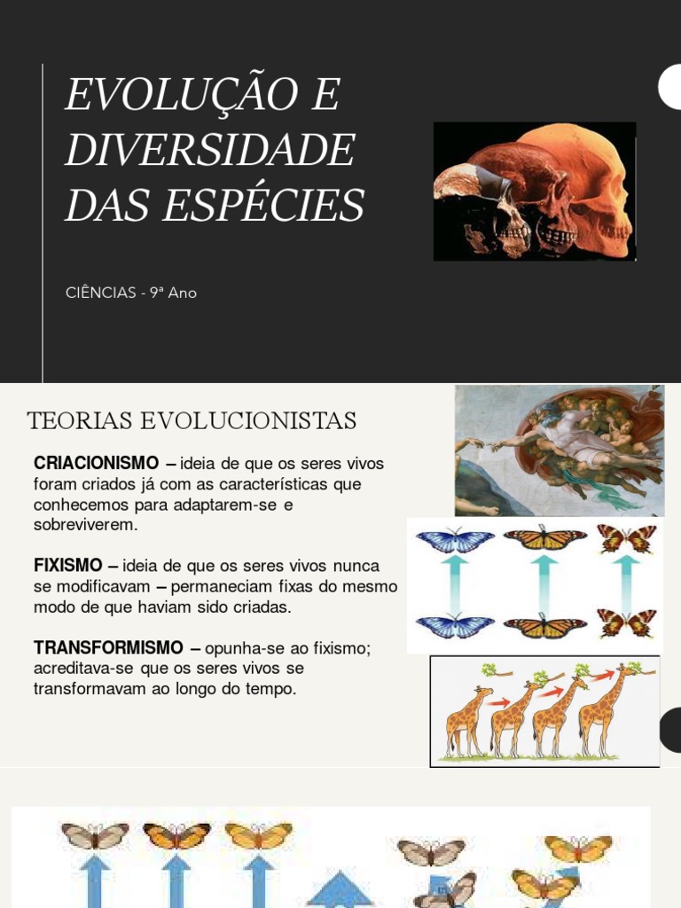 9 Ano - Evolução e Diversidade Das Espécies | PDF