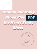 Cardiovascular System - Blood Flow of The Heart