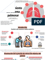 Envejecimiento Del Sistema Pulmonar - Equipo 3