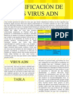 6 Adn Clasificación de Los Virus