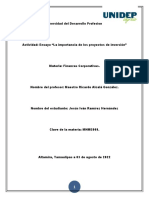 Ensayo, La Importancia de Los Proyectos de Inversion, Ivan Ramirez