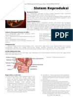 LKBM Sistem Reproduksi