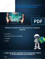 Los Controles de Gestión Judicial y Los Sistemas