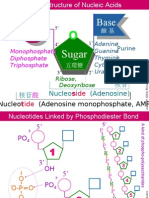 NA01 Structure