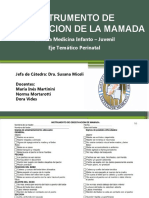 Instrumento de Observacion de Mamada.