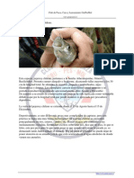 Ac - Fish - 12 - La Pesca Del Pejerrey Chileno - 1a Parte