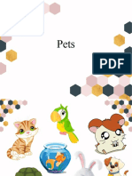 10 Pets