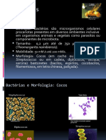 Bactérias: Morfologia, Componentes e Definição