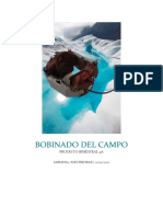 Informe Del Bobinado Del Campo