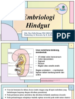 DT - Embriologi Hindgut, Atresia Ani - Nina Nafila Ritonga - I4061211008