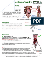 Effective Neck-Cutting of Poultry: Identification of Blood Vessels