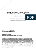 Industry Life Cycle Slides