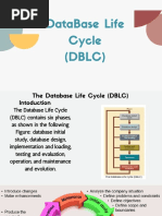 Database Life Cycle (DBLC)