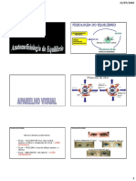 Anatomofisiologia Do Equilíbrio