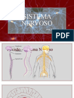 Sistema Nervoso - Sistema Límbico
