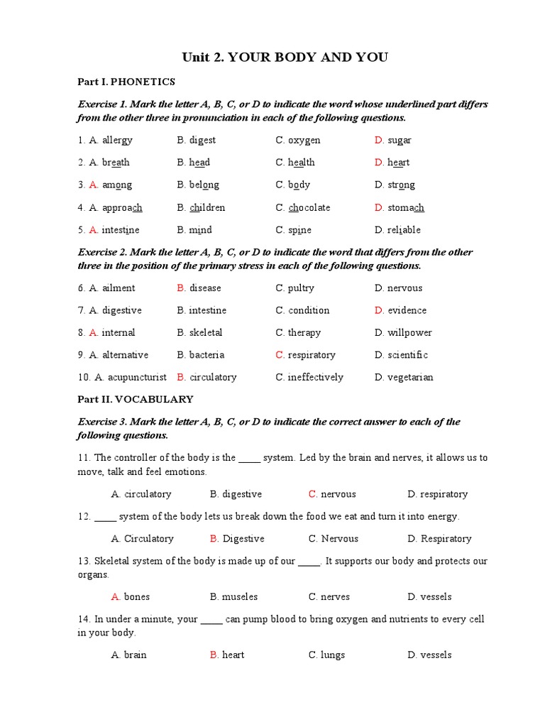 Phonetics and Vocabulary Exercises on Body Systems | PDF | Acupuncture ...