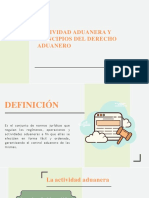 Principios del Derecho Aduanero y su Actividad