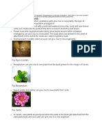 Reproduction in Plants 7 SD