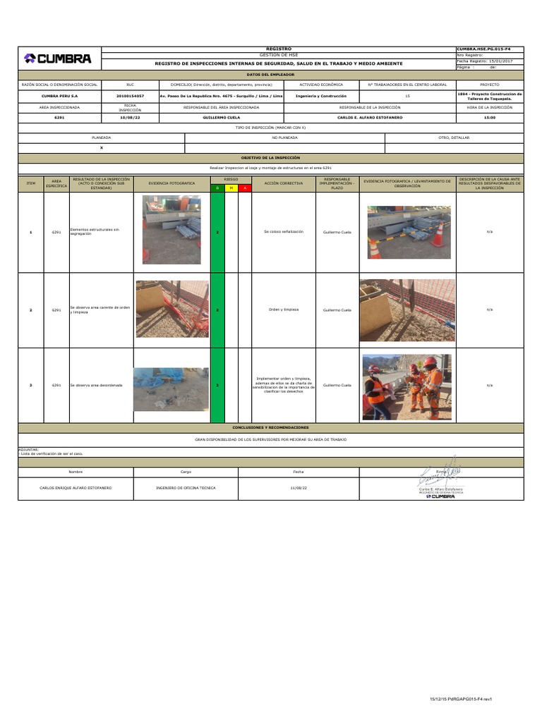 Inspeccion de Area 6291 Carlos Alfaro | PDF