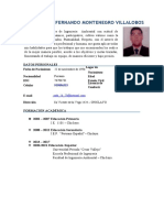 Curriculum Vitae - Montenegrovillalobosjuan