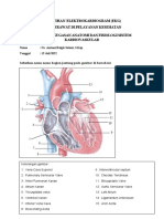13 Juli Anatomi Fisiologi Sistem Kardiovaskular