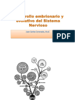 C4-Embriología Del S.Nervioso