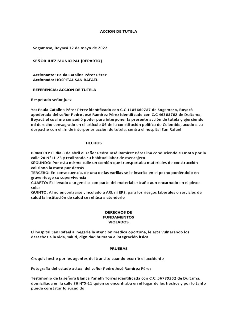 Formato Accion de Tutela | PDF | Gobierno | Justicia