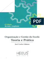 Resumo Organizacao e Gestao Da Escola Teoria e Pratica Jose Carlos Libaneo